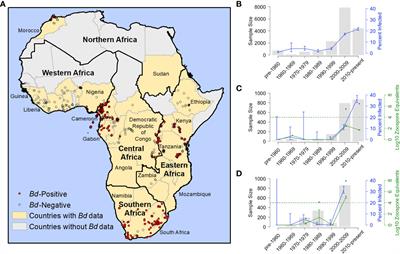 Continent-wide recent emergence of a global pathogen in African amphibians